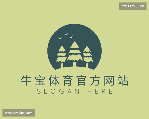 介绍牛宝体育官方平台app